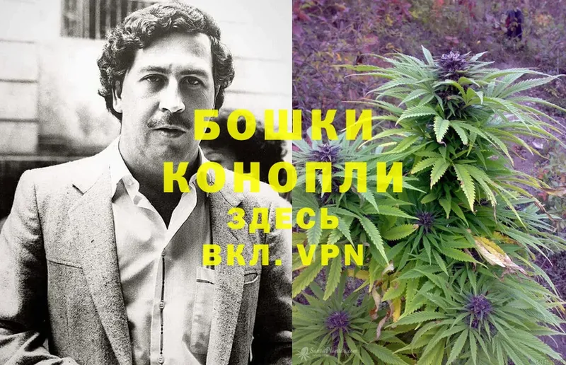 наркошоп  мориарти телеграм  МАРИХУАНА LSD WEED  Бородино 